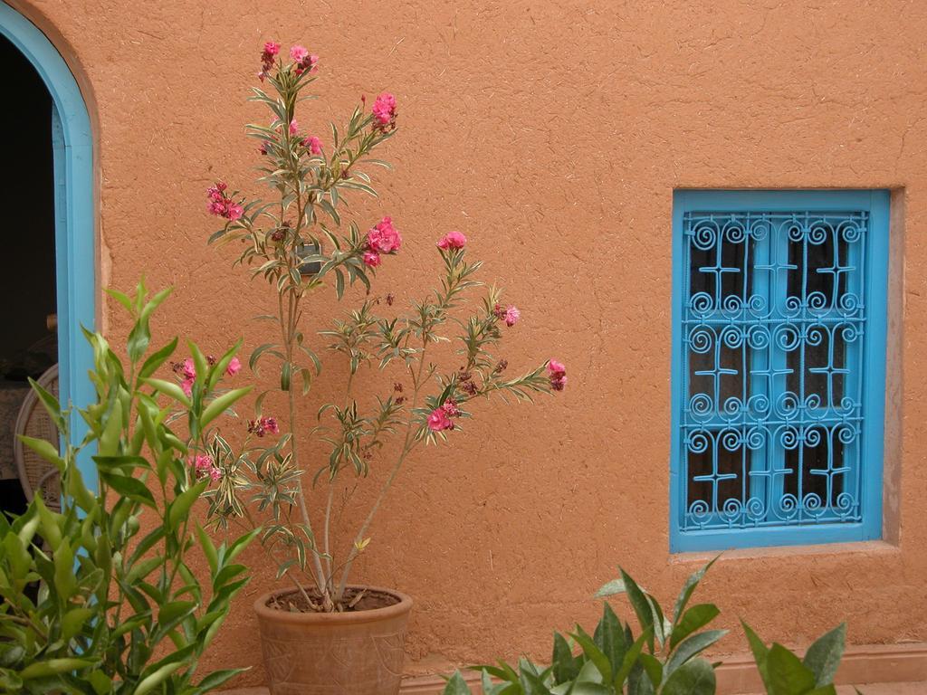 Bed and Breakfast Kasbah Iswan Kelaat-M'Gouna Esterno foto